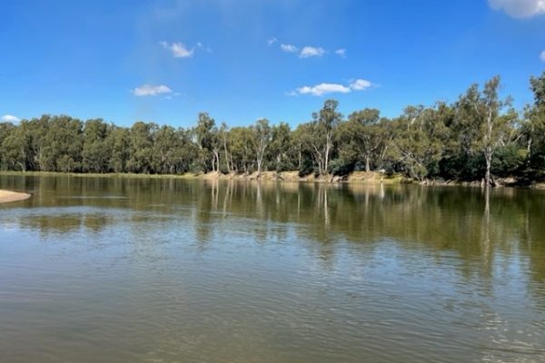 Murray River Tocumwal