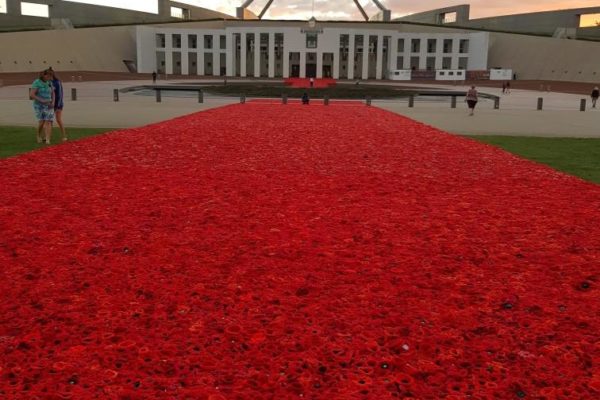 Parliament House with Remembrance Poppy art installation