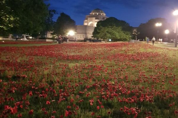 War Museum with poppy installation